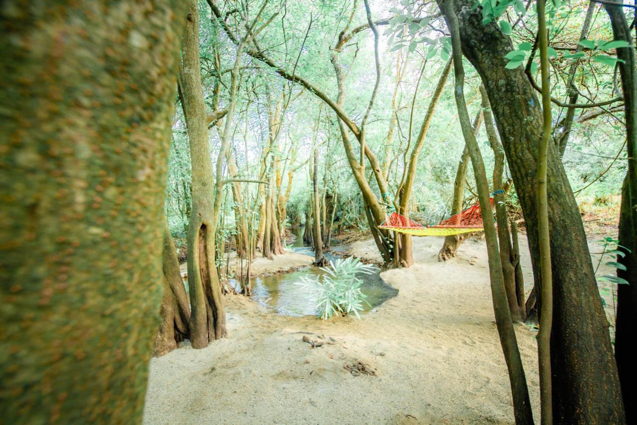 Kayjay Wild Wilpattu Hotel ภายนอก รูปภาพ
