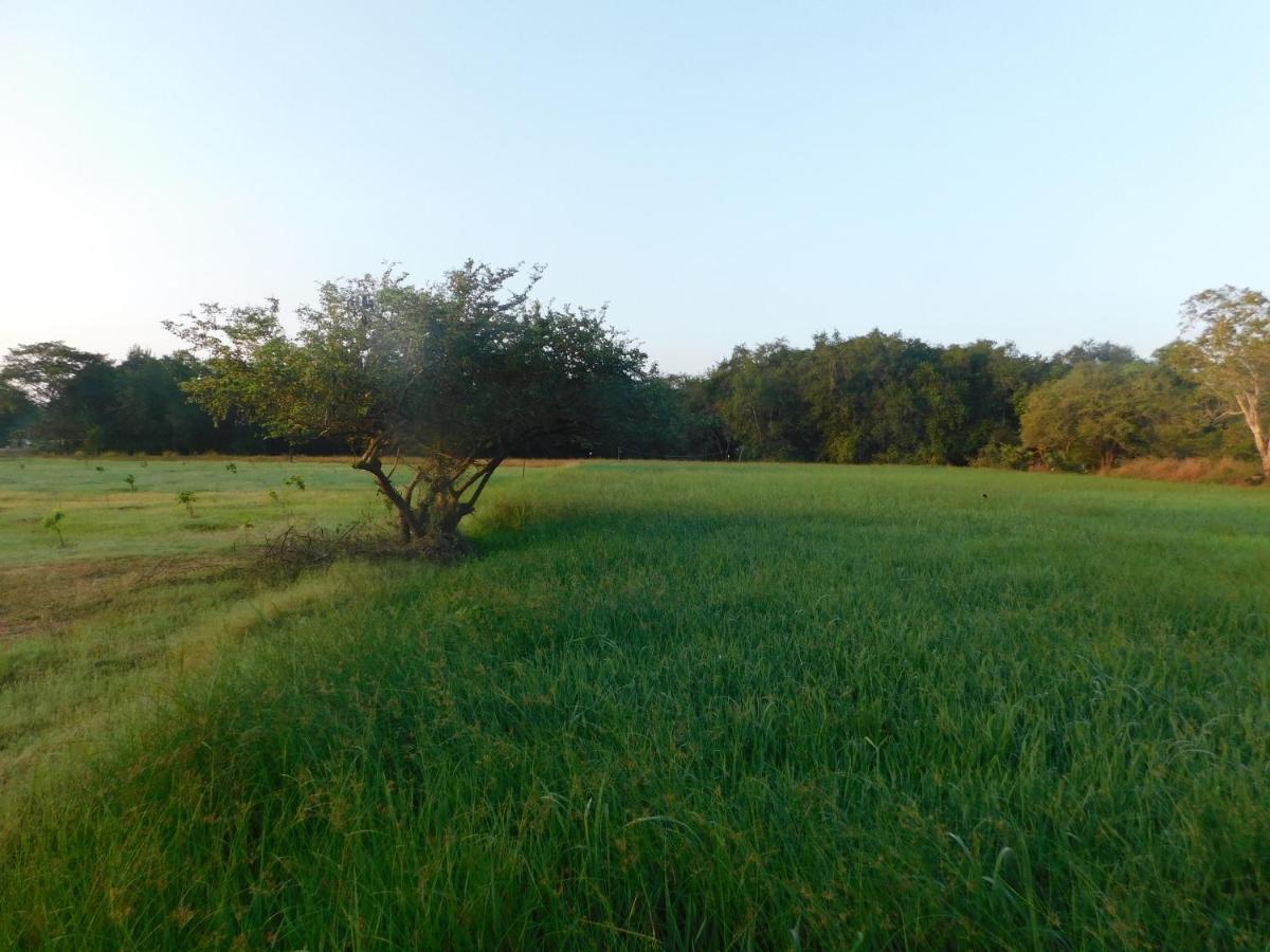 Kayjay Wild Wilpattu Hotel ภายนอก รูปภาพ
