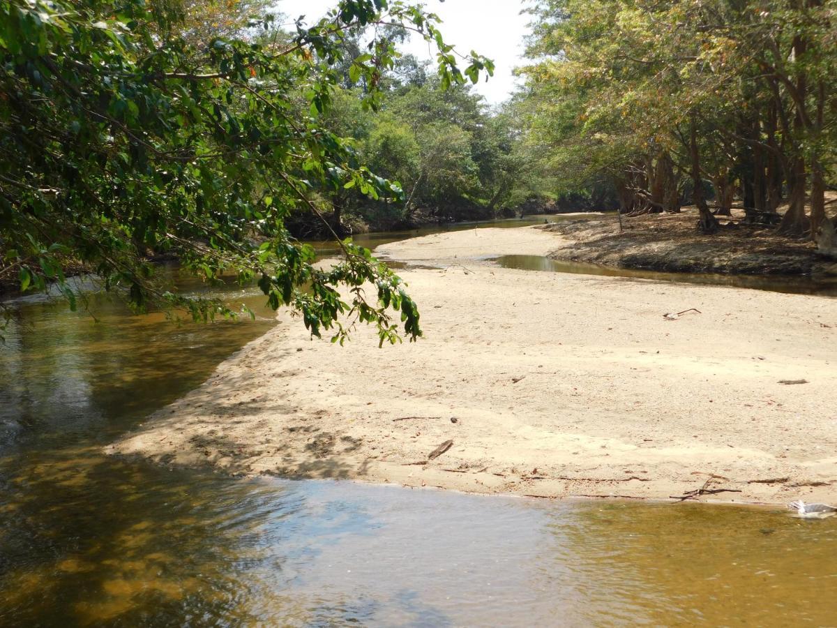 Kayjay Wild Wilpattu Hotel ภายนอก รูปภาพ